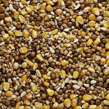 Bucktons - Best All Round Pigeon Food, 20kg Sack